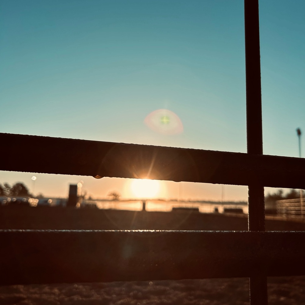 Meet your Posher, Whitney